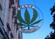 Музей марихуаны и гашиша 